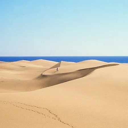 Bull Vital & Boutique - Only Adults Playa del Inglés