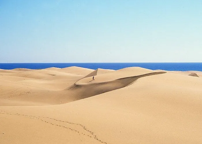 Bull Vital & Boutique - Only Adults Playa del Ingles (Gran Canaria)